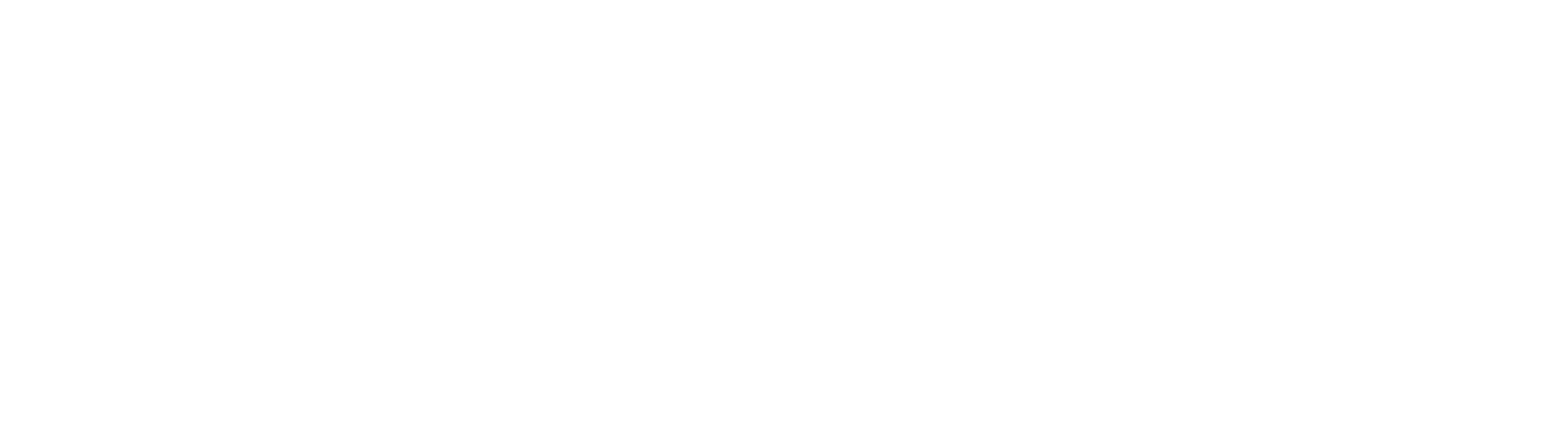 NetValue Support